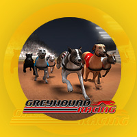 Greyhound Racing